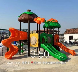 南京金鵬林果種植場游樂項目